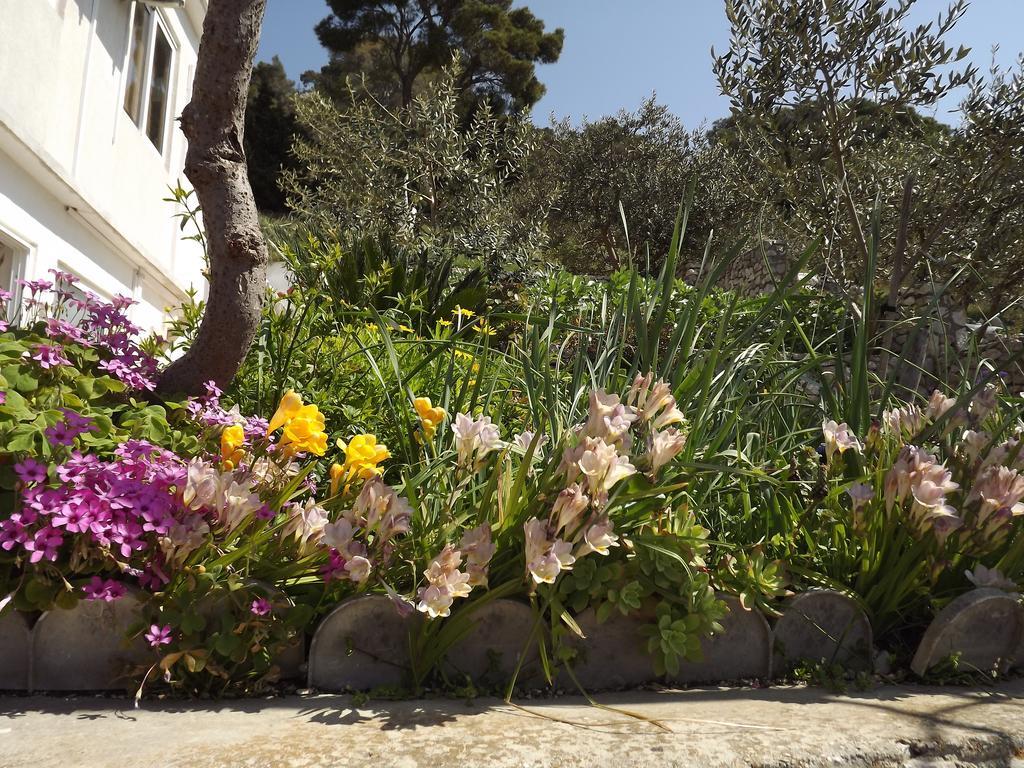 Guest House Vuljan Hvar Town Esterno foto